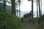 PICTURES/Oregon Coast Road - Heceta Lighthouse/t_Lighthouse Trail1.JPG
